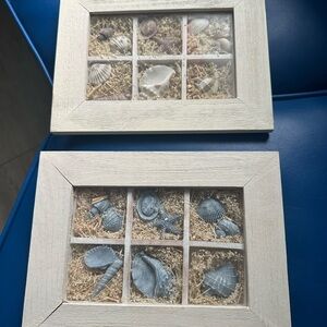 Seaside Shell Display Frame - Cream